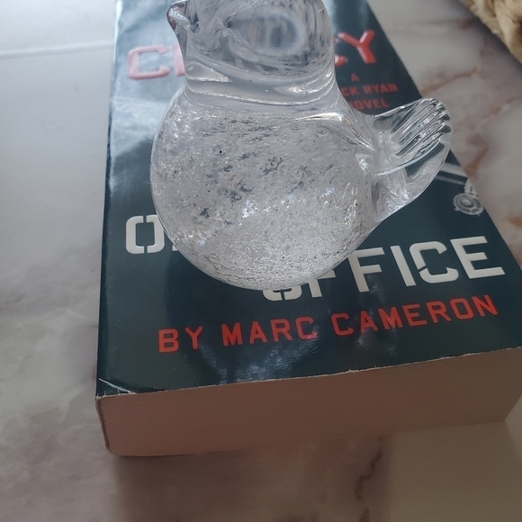 Art Glass Bird Dove Figurine Paperweight Controlled Bubbles Hand Blown. - Picture 10 of 11